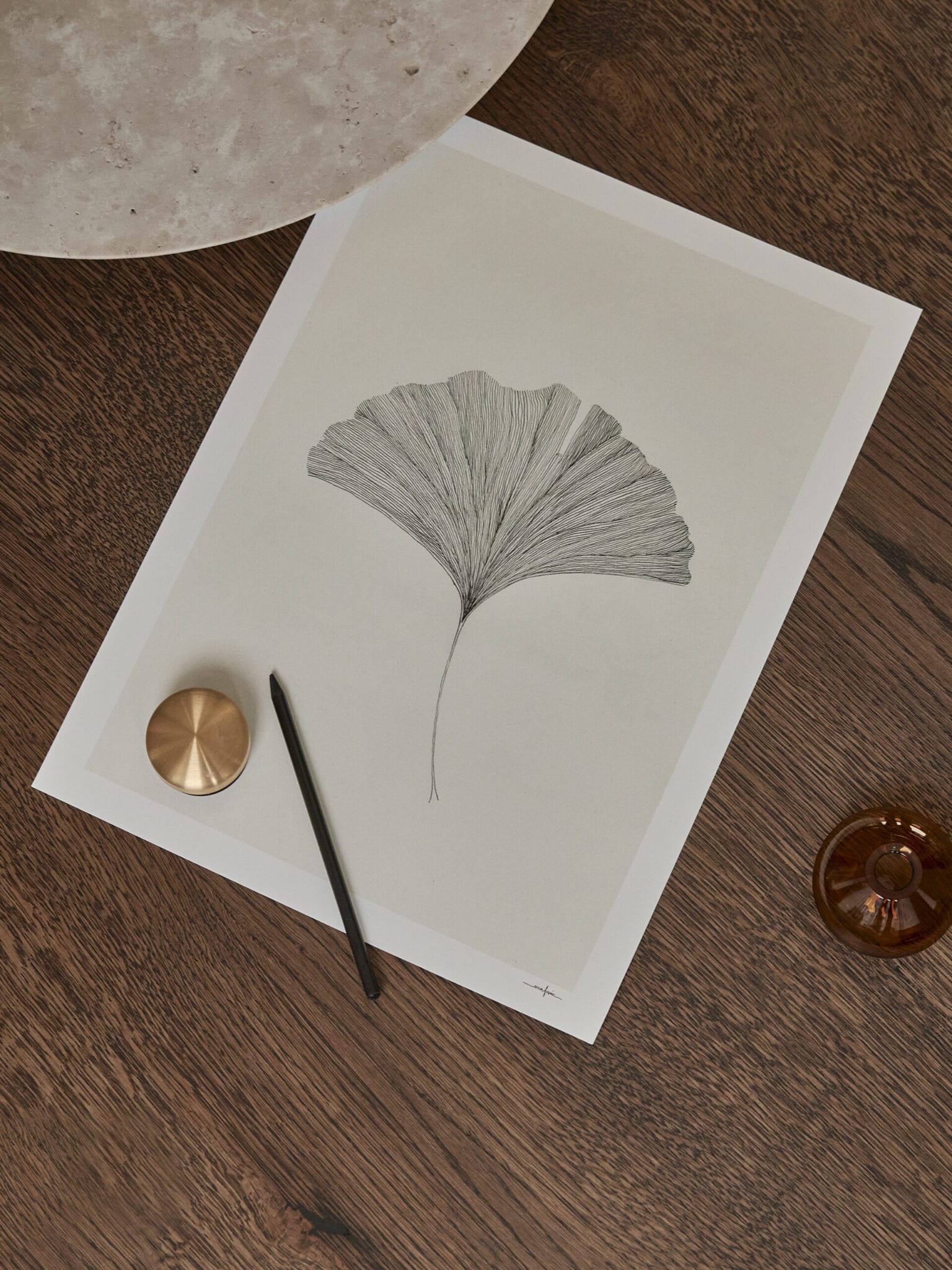Ana_Frois_Grinko_Leaf_Lifestyle2_Low_Res-scaled
