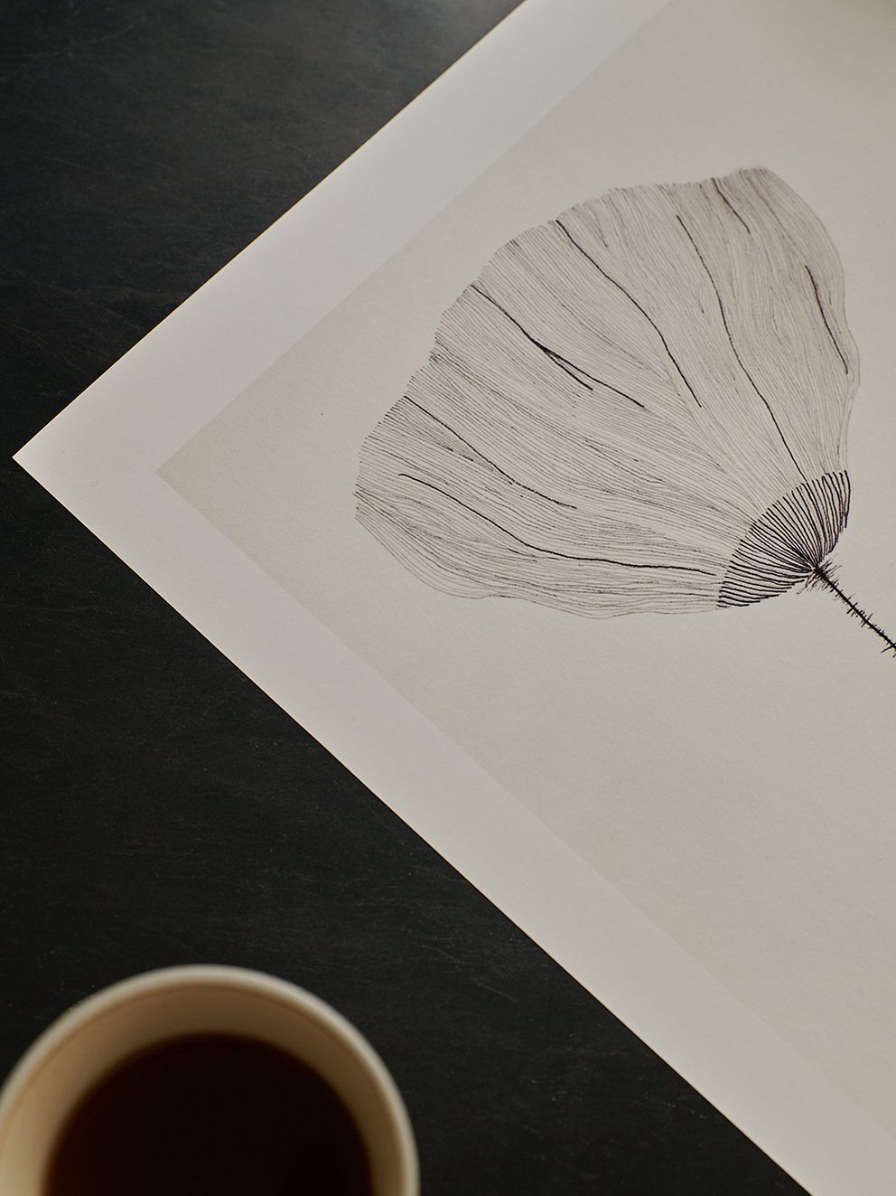 Ana_Frois_Poppy_Close_Up_Low_Res