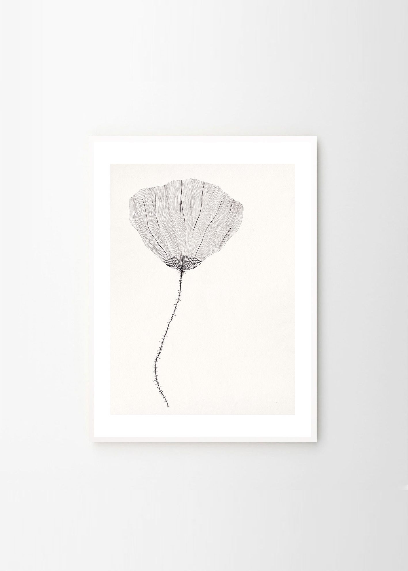 Ana_Frois_Poppy_Frame_White_Oak_Low_Res