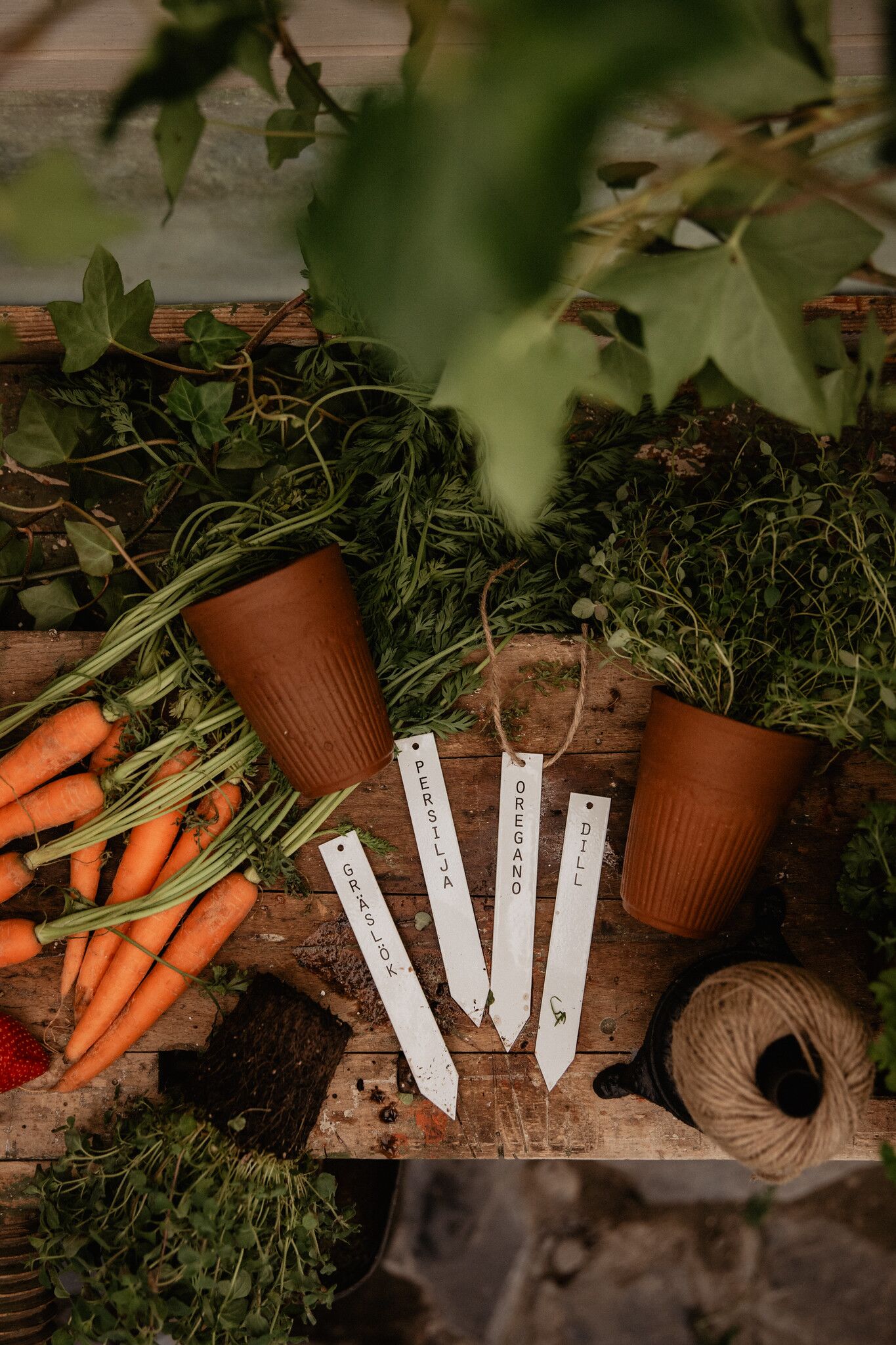 51205695757_1e485a79c8_k