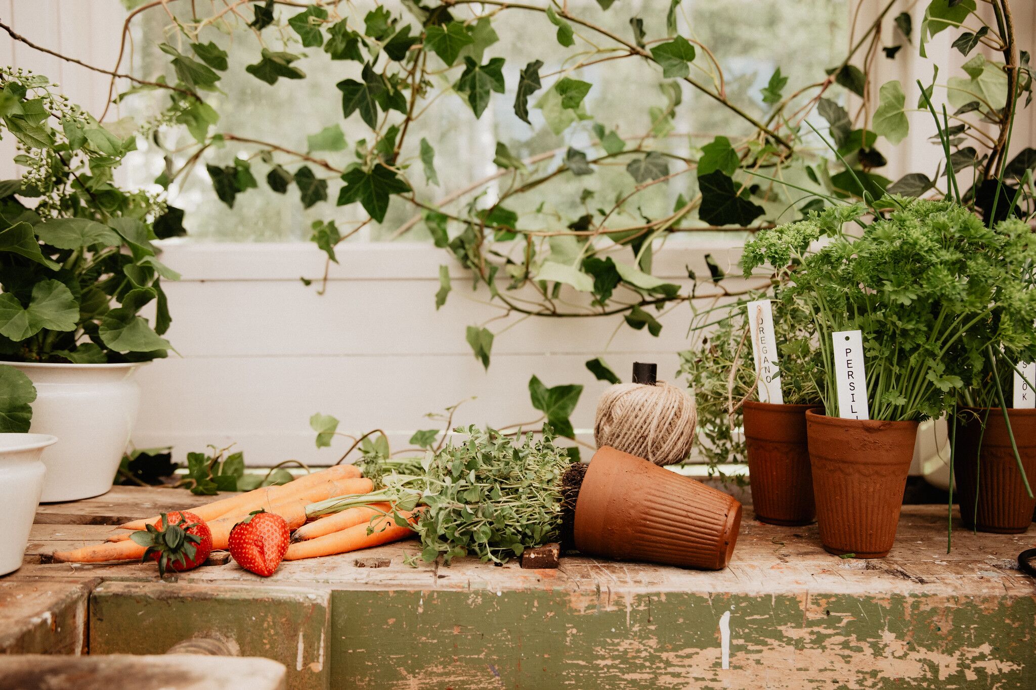 51205696057_a747fbb623_k