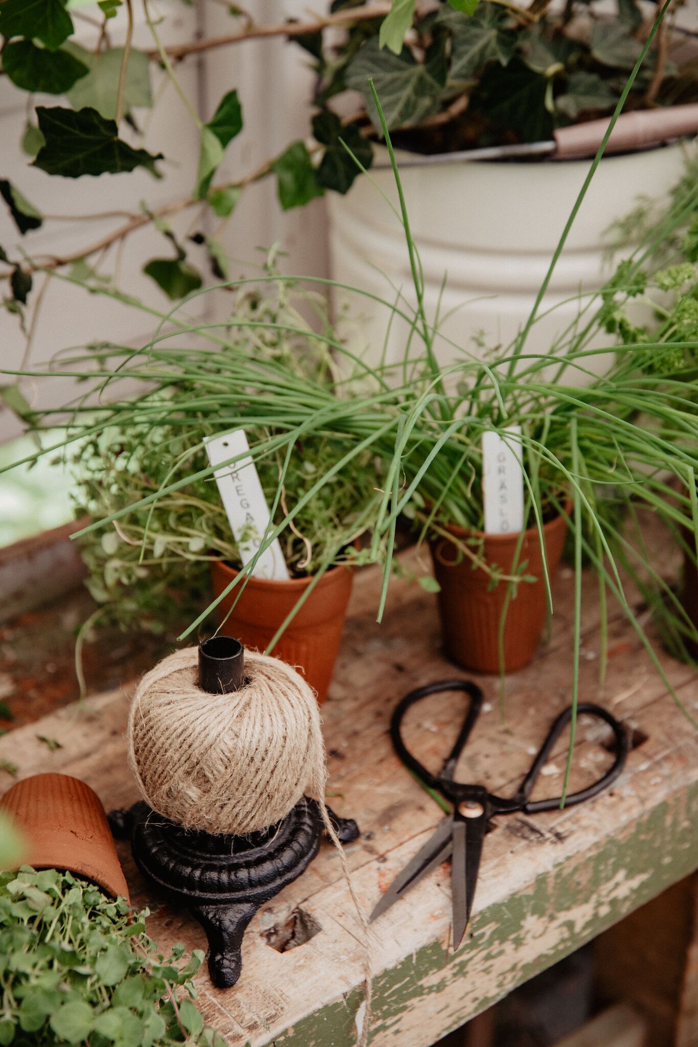 51206408626_fb58bb0ec4_k