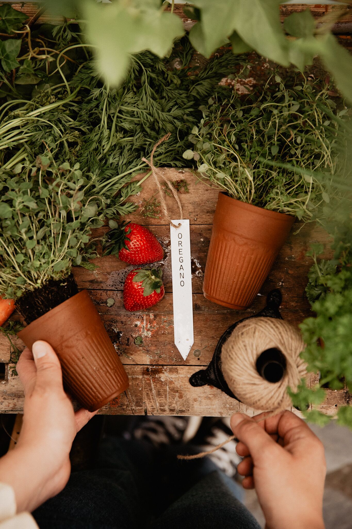 51206612678_0eaa7267e8_k(1)