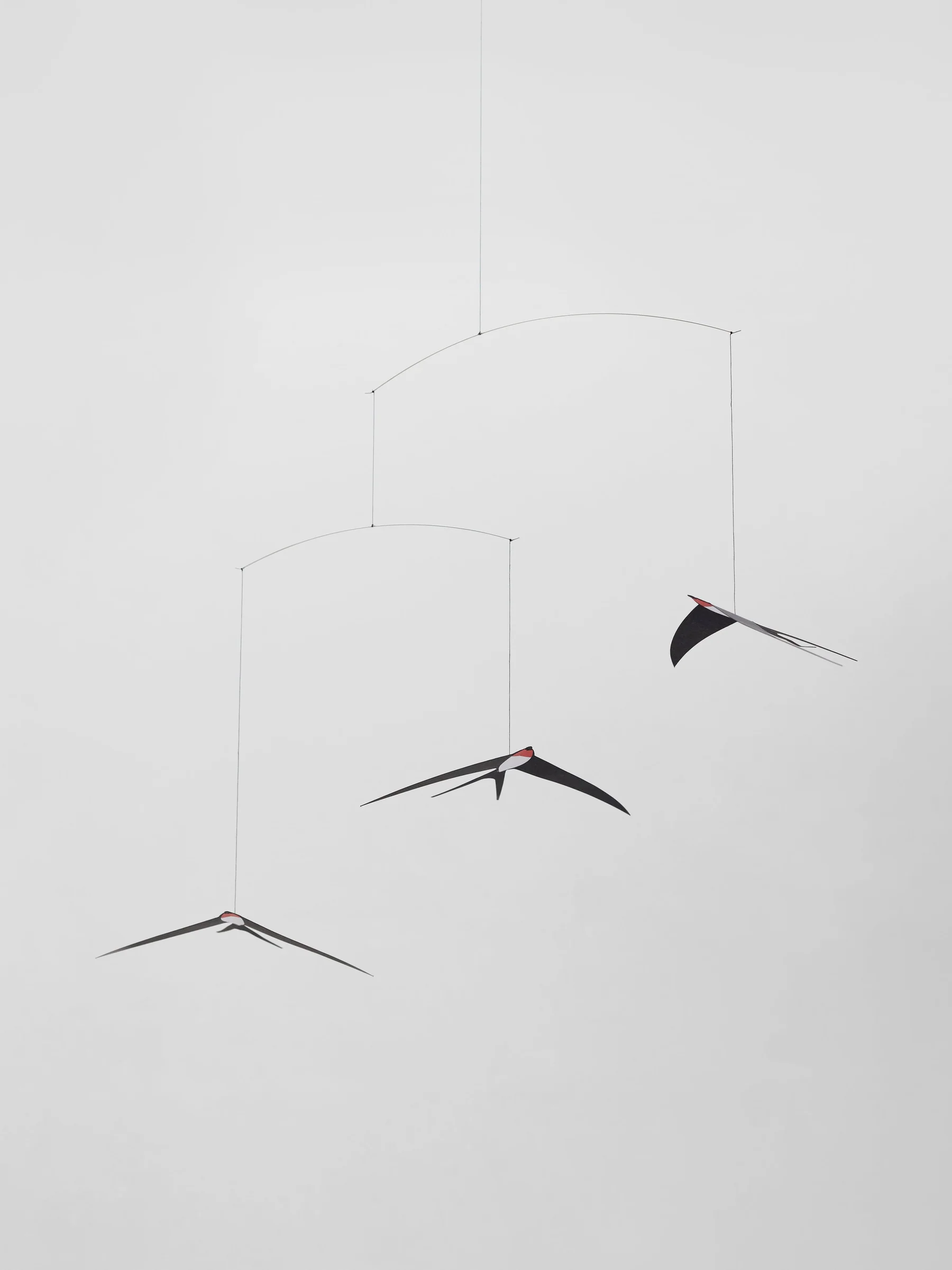 Flying_Swallows_3-24-full_b4478fa8-692c-42c4-ba45-985499460a55