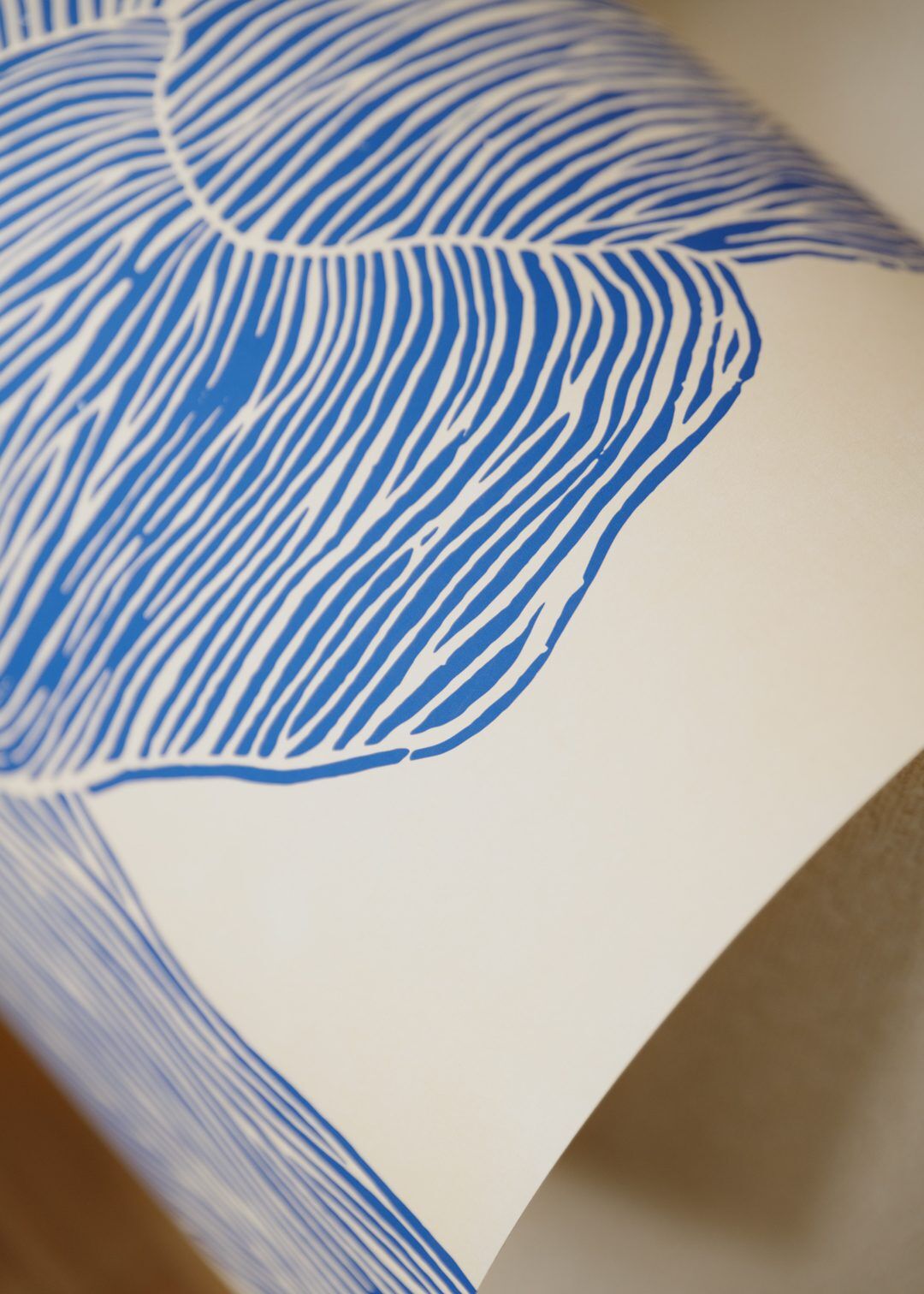 Rebecca_Hein_The_Line_Navy_Closeup_No_01_Low_Res