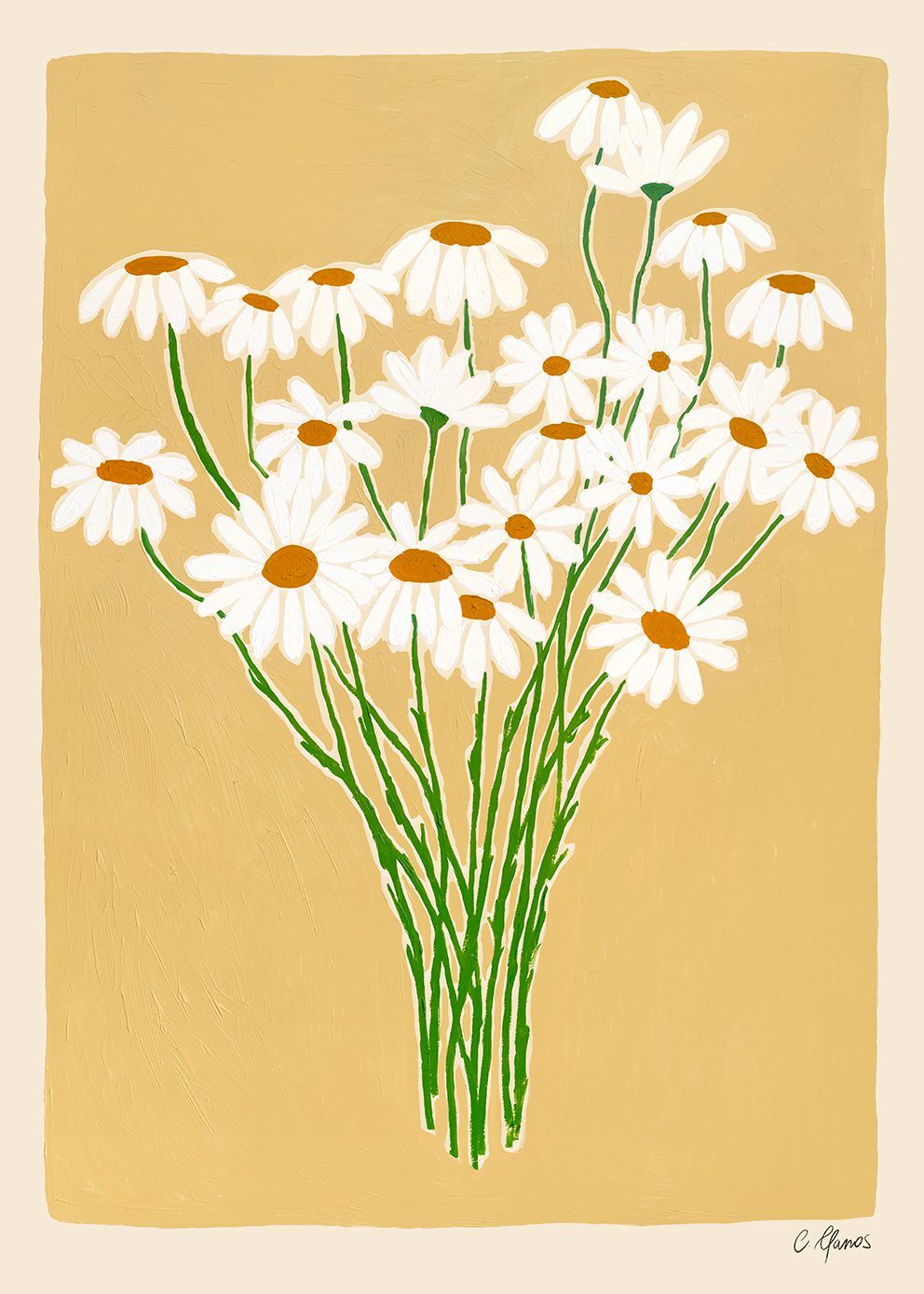 Carla_Llanos_Daisies_Product_Low_Res