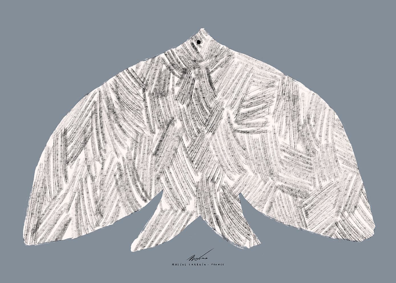 Matias_-Larrain_Oiseau_Product_Low_Res