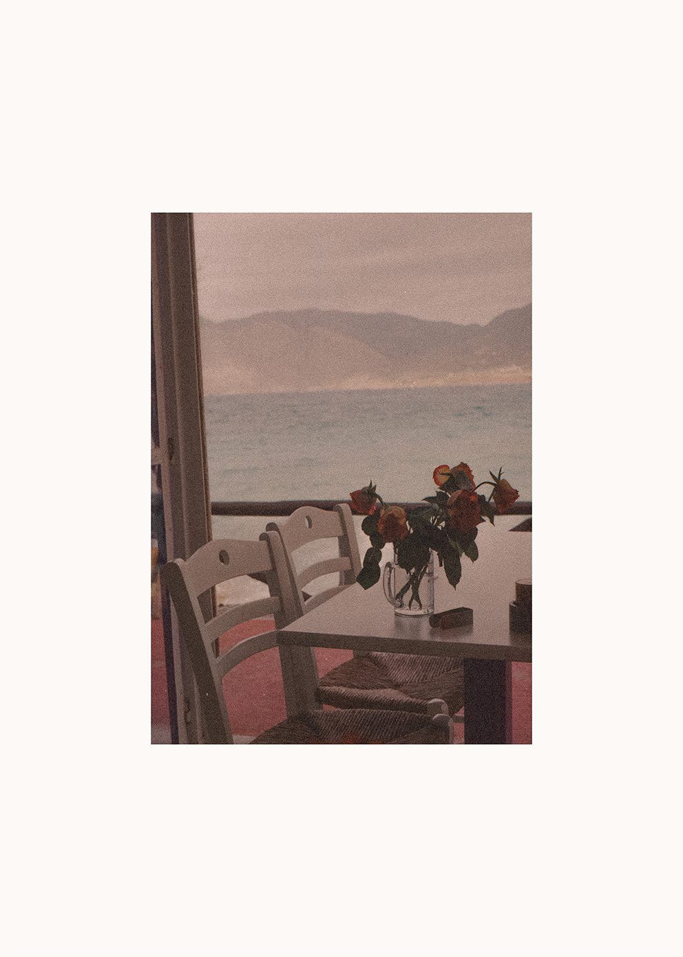 Ana_Santl_Dine_with_Me_Product_Low_Res