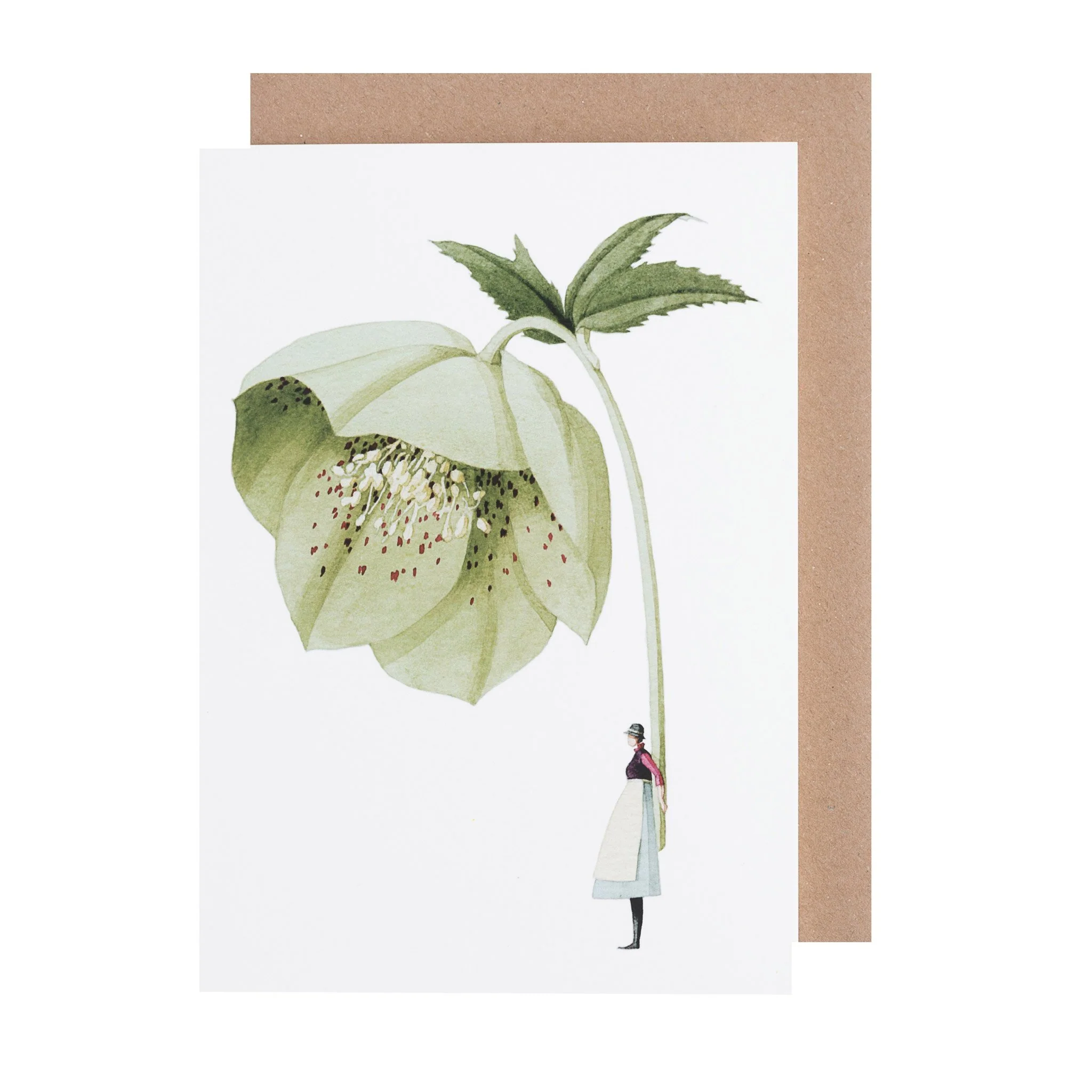 GC_hellebore_2048x