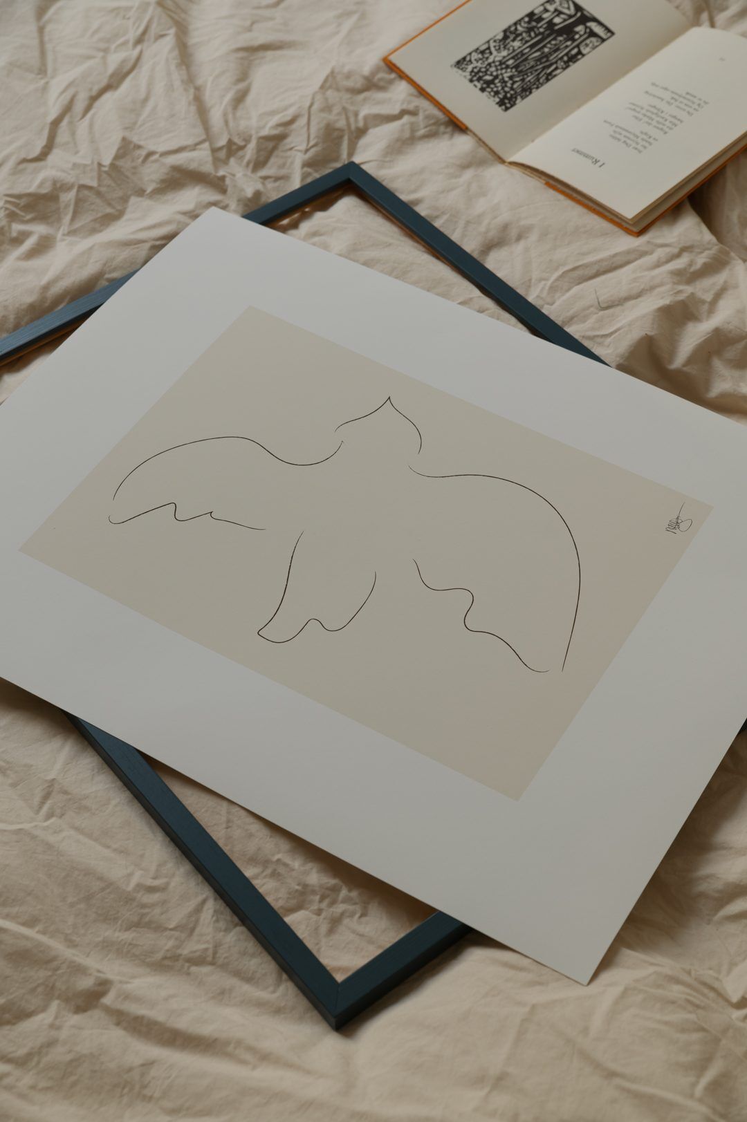 Mie__Him_Fly_Away_Close_Up_Low_Res