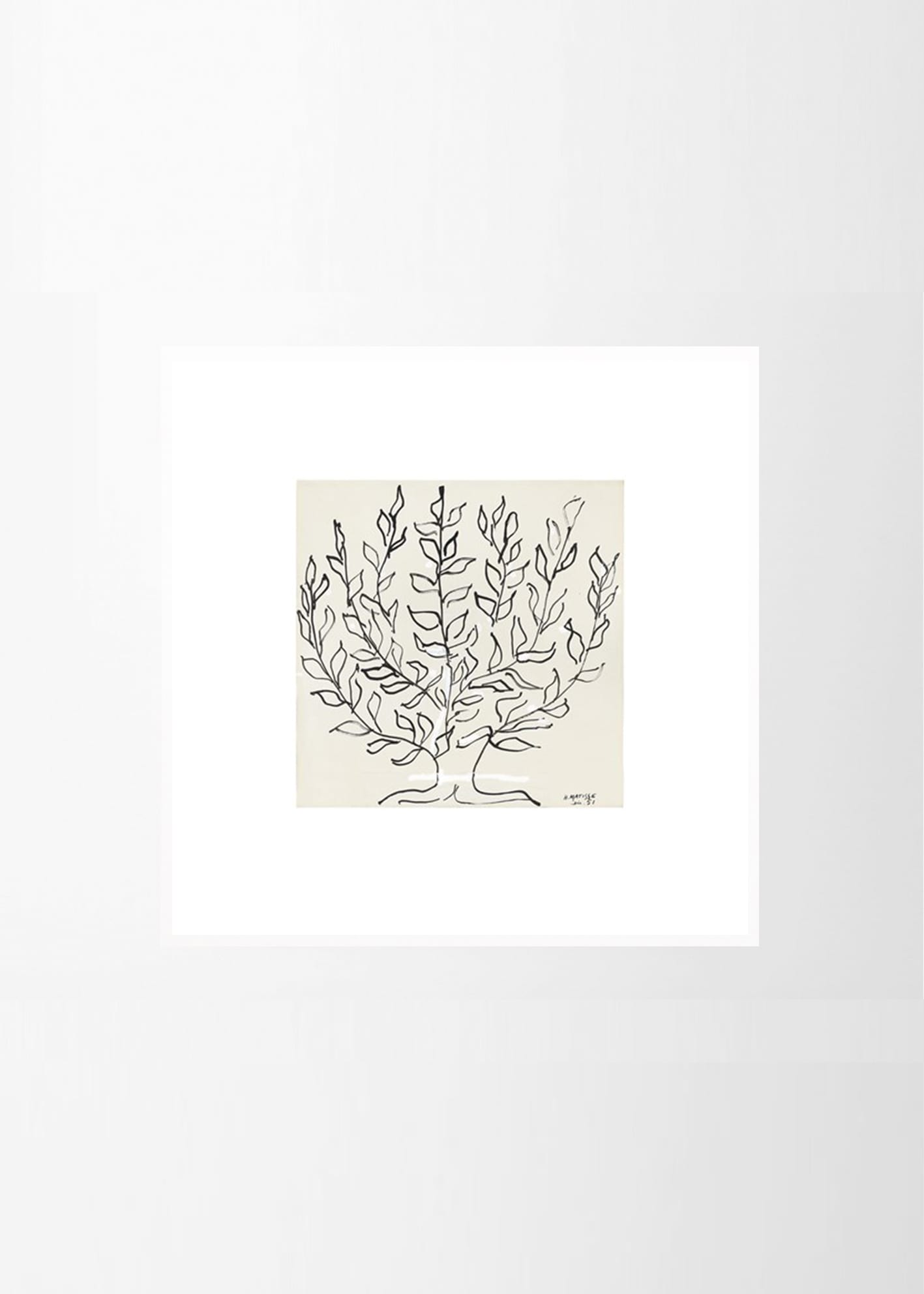 Rosenstiels_Henri_Matisse_Le_Platane_Frame_White_Oak_Low_Res.