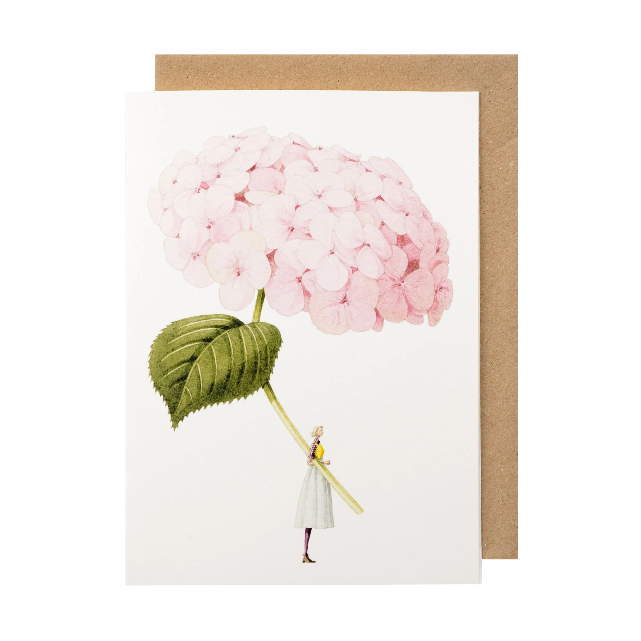 GC57pinkhydrangeasquare_2048x